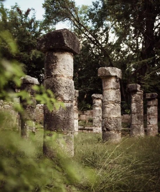 Ancient stone columns from the Mayan ruins of Chichen Itza, partially covered by grass and surrounded by dense jungle vegetation, showcasing historical architecture amidst natural surroundings.