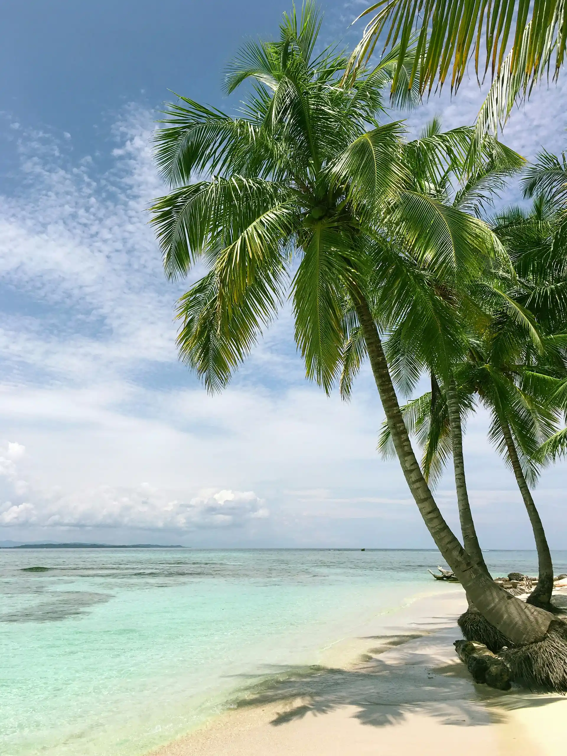 Tropical beach in Sian Ka’an Reserve with leaning palm trees casting shadows on the white sand beside calm turquoise waters and a partly cloudy sky.