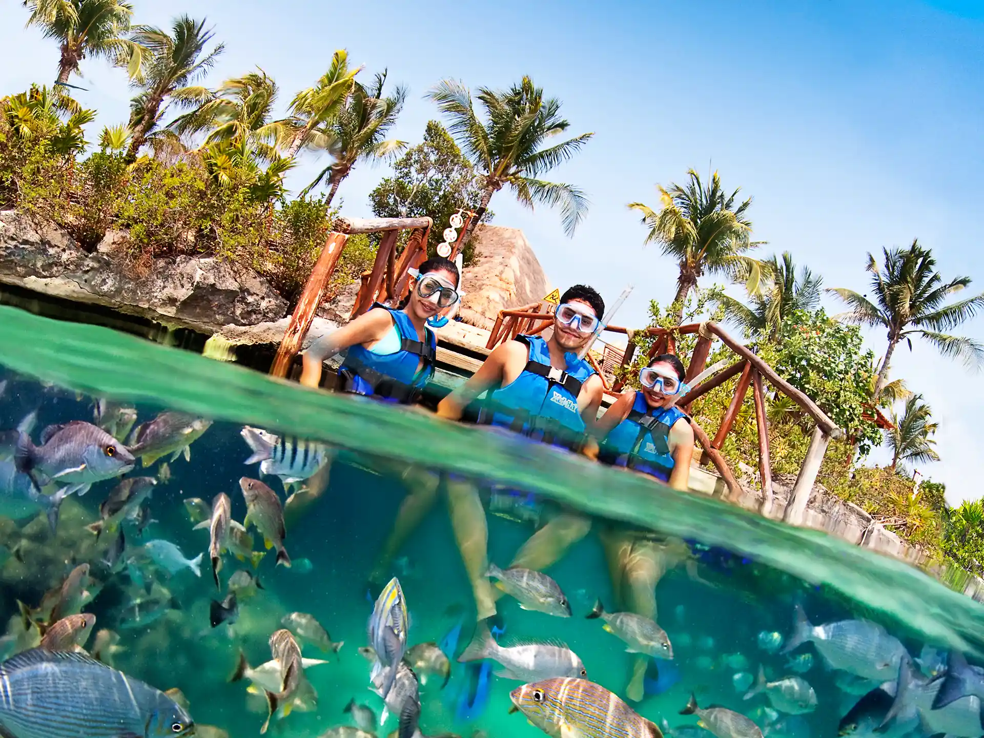 Group of friends snorkeling in Xel-Ha clear tropical waters surrounded by colorful fish and lush palm trees in a natural lagoon.